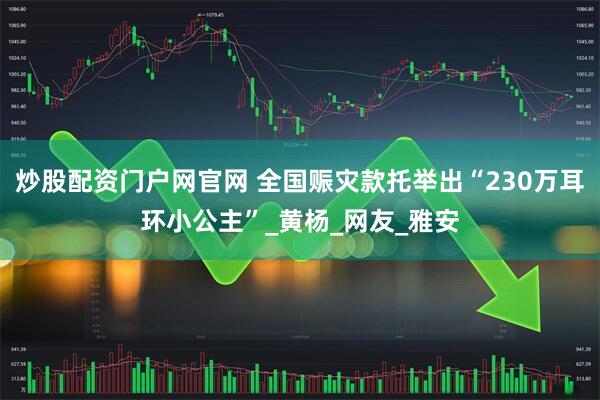炒股配资门户网官网 全国赈灾款托举出“230万耳环小公主”_黄杨_网友_雅安